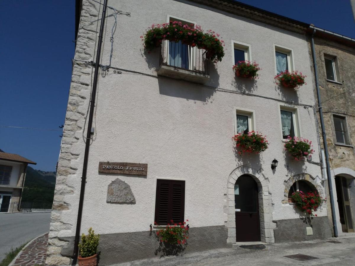 L'angolo fiorito Castelpetroso Esterno foto