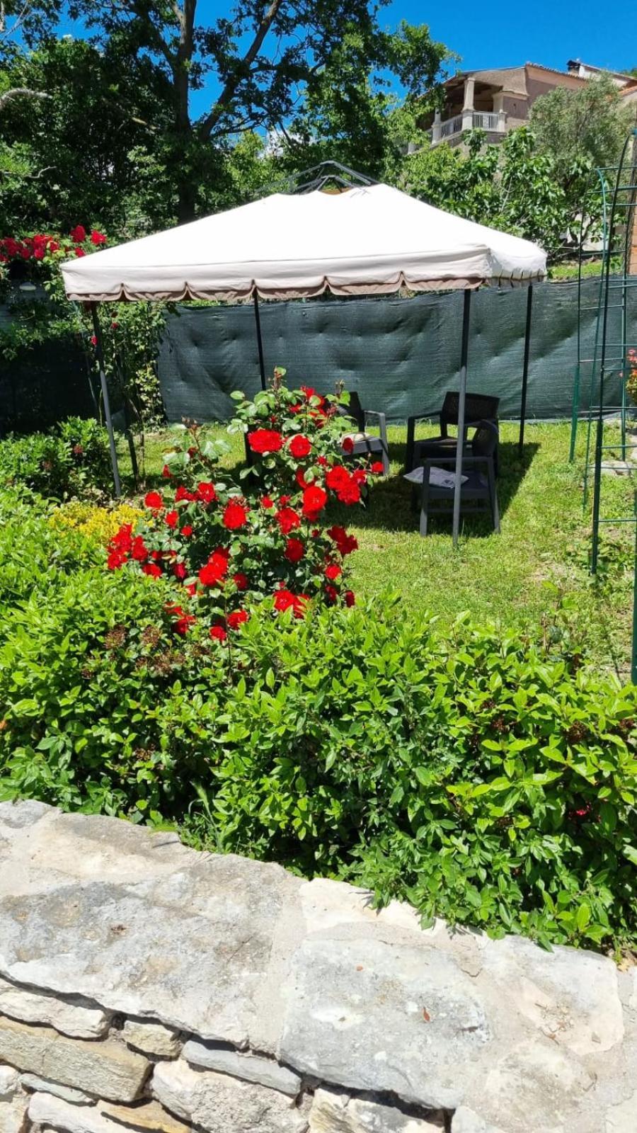L'angolo fiorito Castelpetroso Esterno foto
