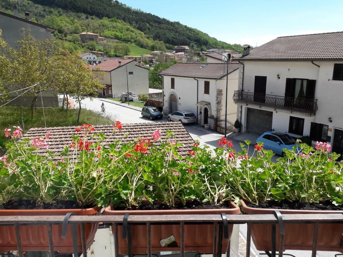 L'angolo fiorito Castelpetroso Esterno foto