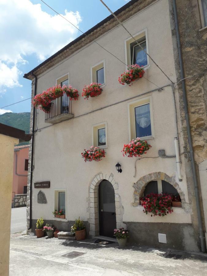 L'angolo fiorito Castelpetroso Esterno foto