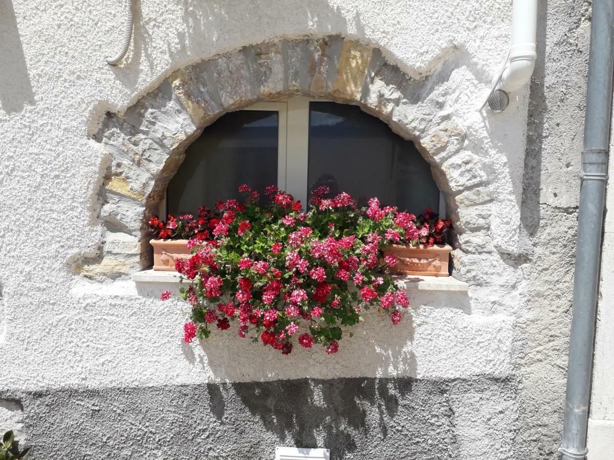 L'angolo fiorito Castelpetroso Esterno foto