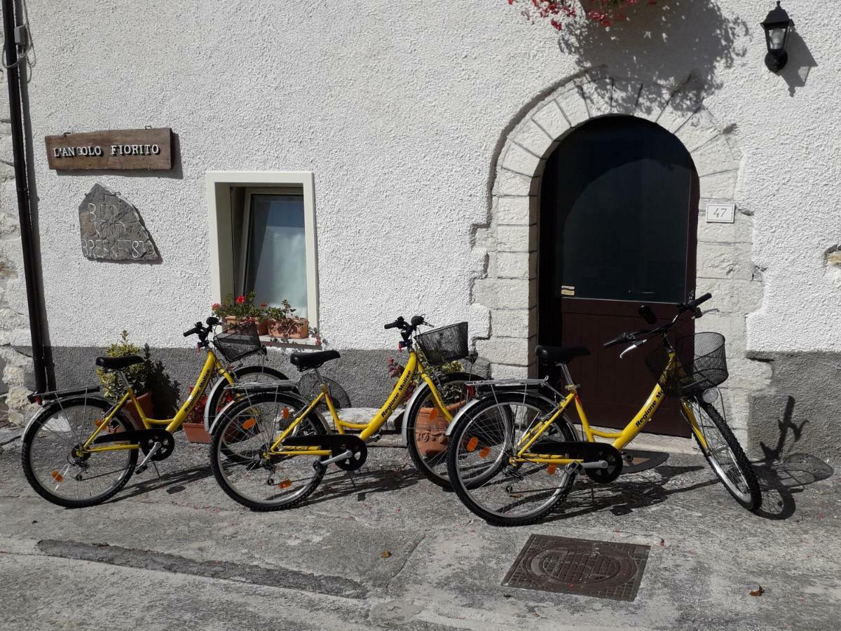 L'angolo fiorito Castelpetroso Esterno foto